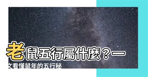 老鼠 風水|【老鼠五行屬什麼】老鼠五行屬什麼？屬鼠五行解析與幸運色彩一。